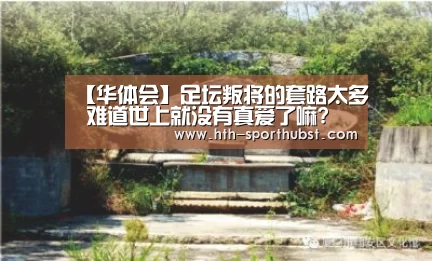 华体会