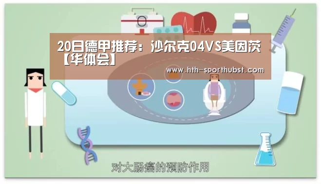 20日德甲推荐:沙尔克04VS美因茨【华体会】(图2) 华体会
