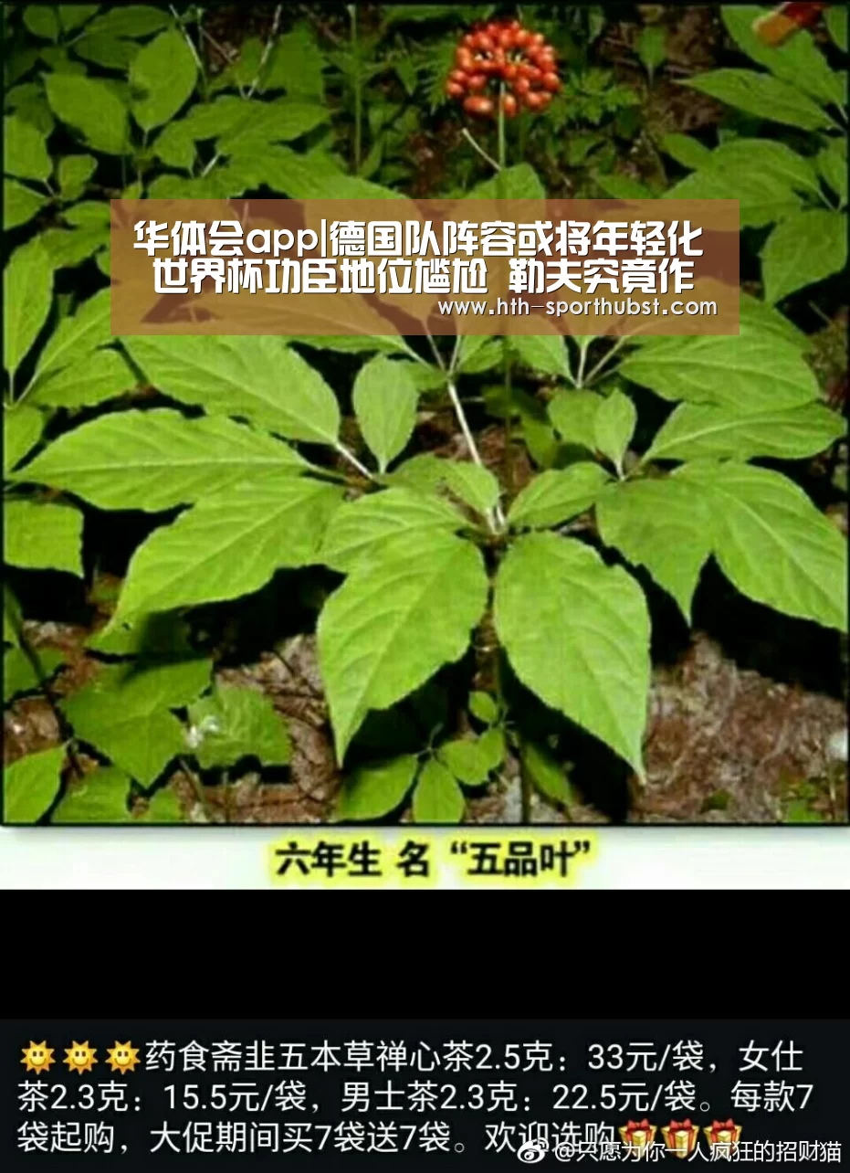 华体会app|德国队阵容或将年轻化 世界杯功臣地位尴尬 勒夫究竟作何选择?(图1) 华体会