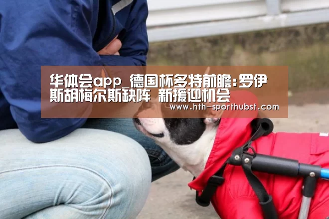 华体会app_德国杯多特前瞻:罗伊斯胡梅尔斯缺阵 新援迎机会(图1) 华体会app